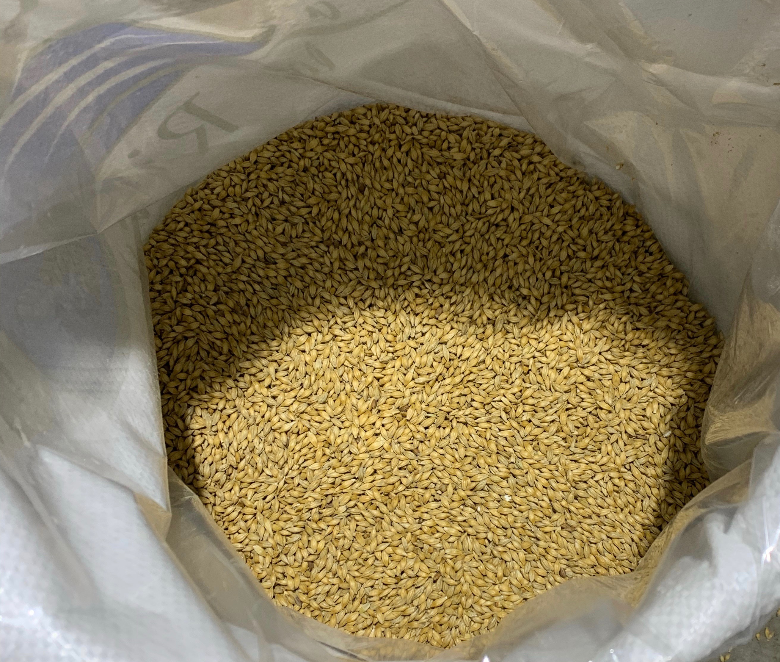 Malt vienna