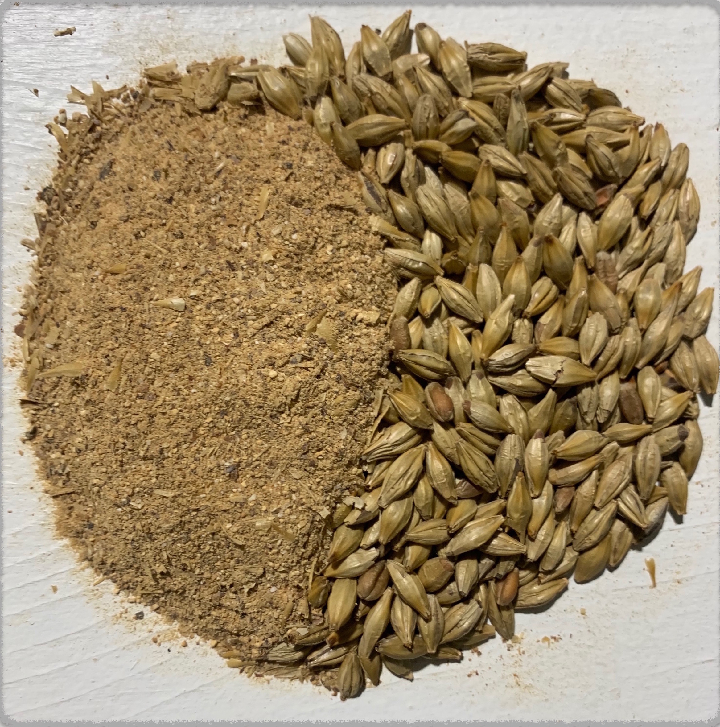 Malt bio R1 (roasted/rôti 1)